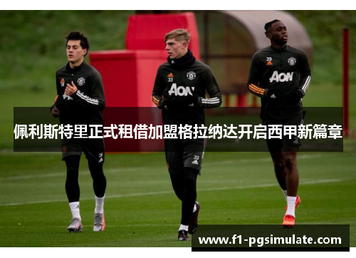 佩利斯特里正式租借加盟格拉纳达开启西甲新篇章