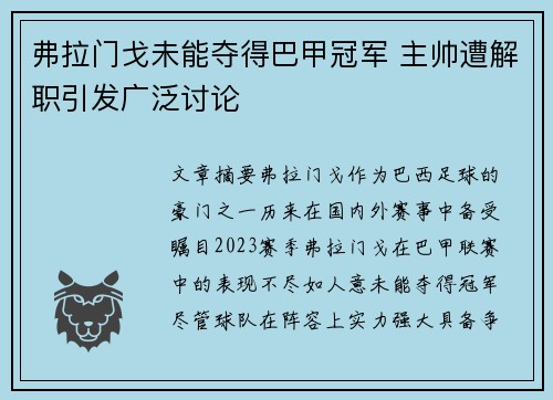 弗拉门戈未能夺得巴甲冠军 主帅遭解职引发广泛讨论 弗拉门戈未能夺得巴甲冠军 主帅遭解职引发广泛讨论